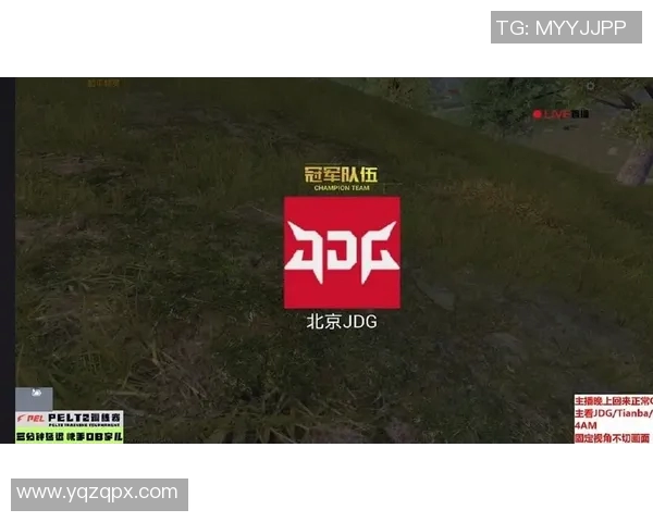 和平精英巨献：深入解析JDG团队协作背后的成功秘诀与策略
