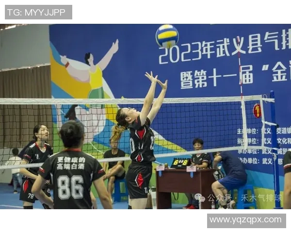 武汉排球队的速度之谜：排球巨献带你领略竞技魅力与团队精神