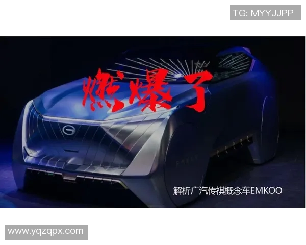 独家解析WE耐力对比背后的秘密与启示