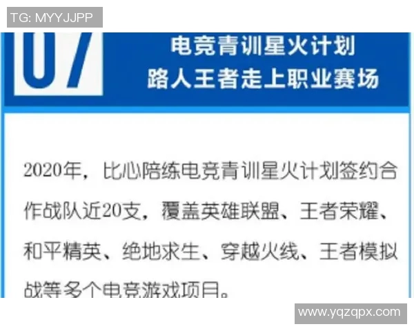 王者荣耀热议FPX战术争议引发玩家热烈讨论与反思