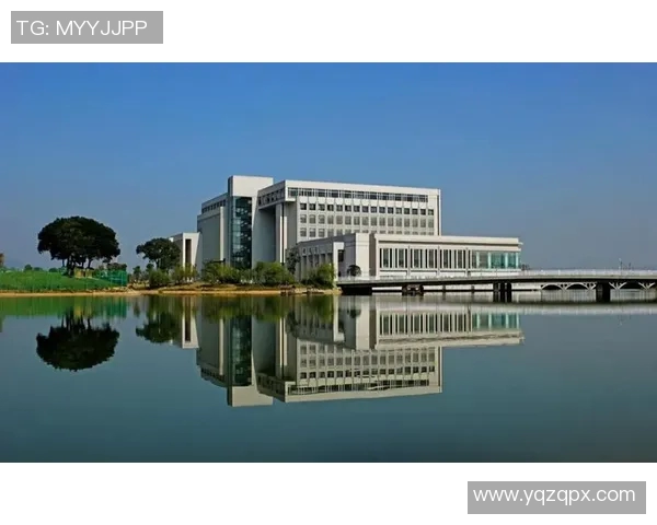 宁波大学与中南大学的学术对比与发展潜力分析