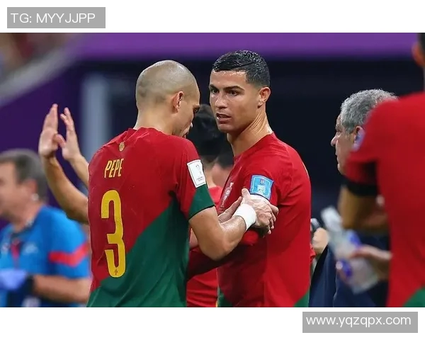 葡萄牙与新西兰激战即将开启球迷热情高涨期待精彩对决 葡萄牙与新西兰激战即将开启球迷热情高涨期待精彩对决