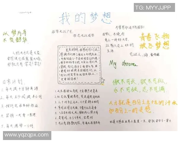 陈秀英的飞盘人生：从热爱到梦想的深度对话与启示